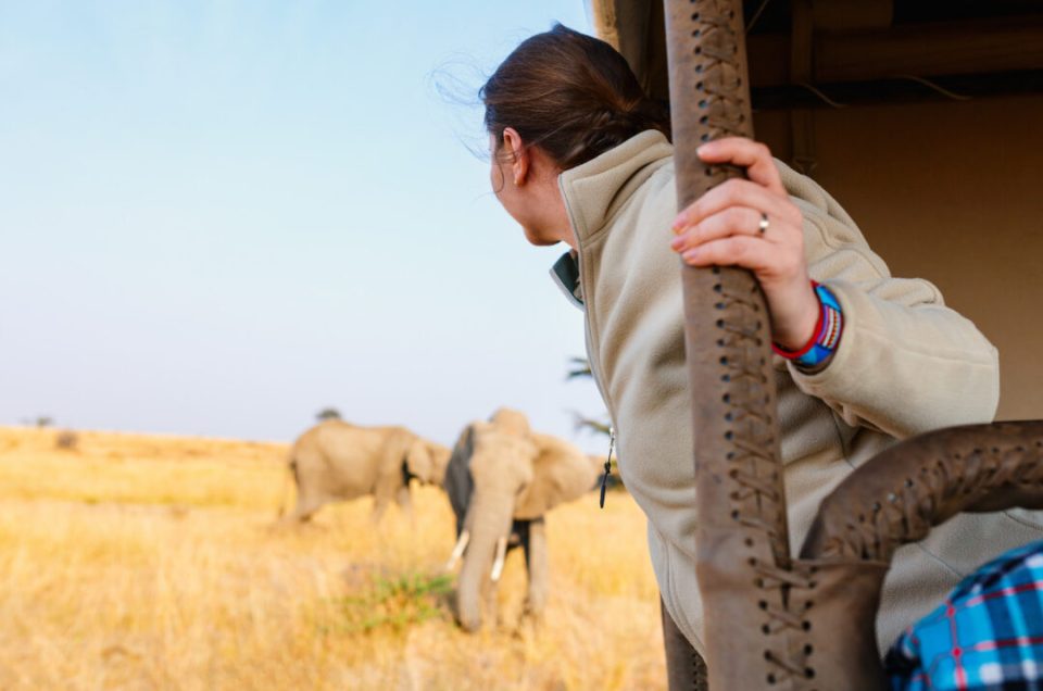 How Your Travel Can Support African Wildlife Protection