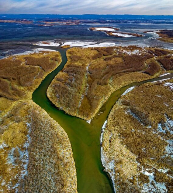 The Okavango Delta: A Safari Paradise