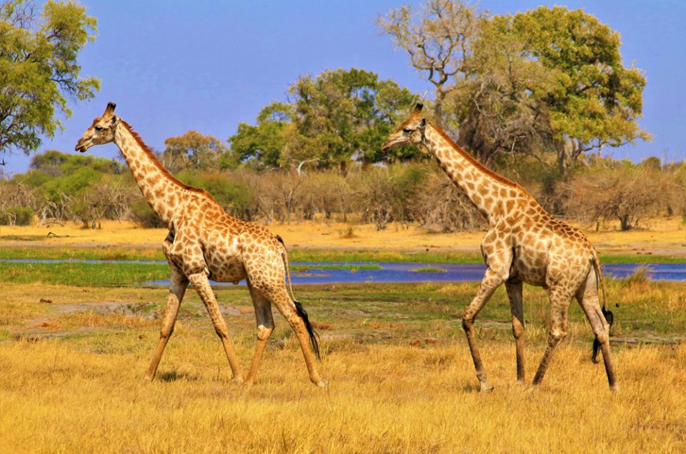 Idyllic Countryside Getaways: Exploring Africa’s Most Serene Locations