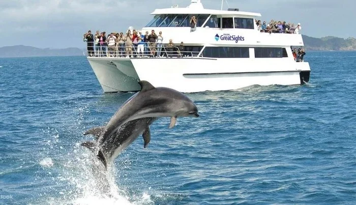Dolphin Cruise & Sandwich Harbour Tour Combo