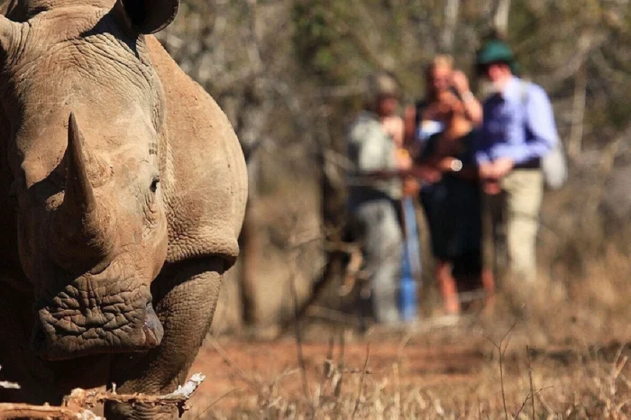 Rhino Tracking