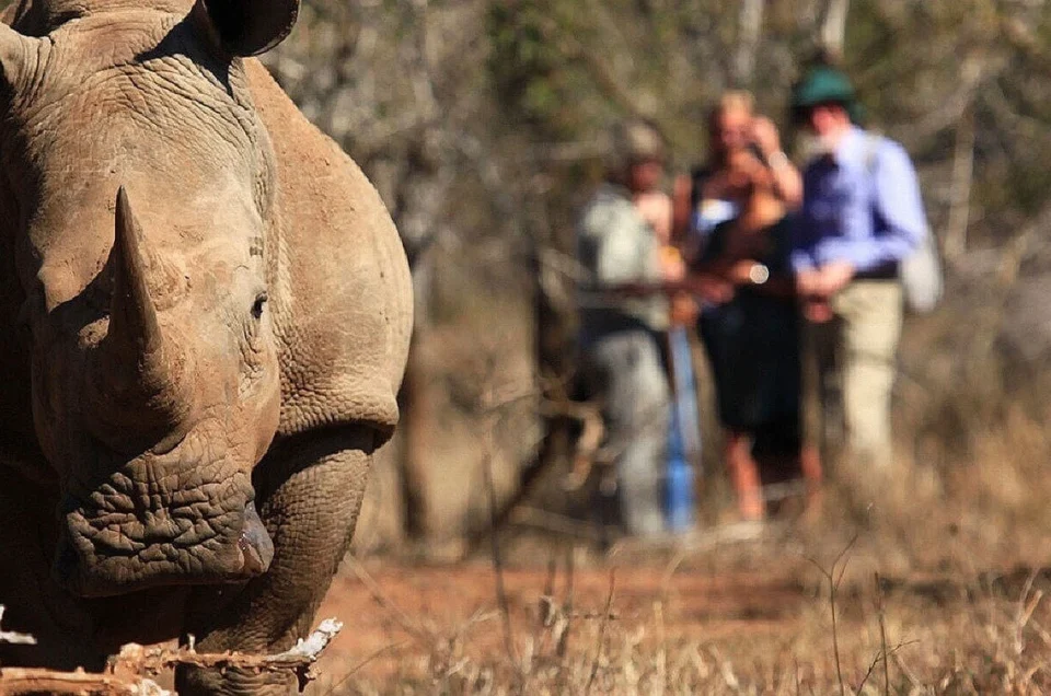 Lets Write a Blog Post